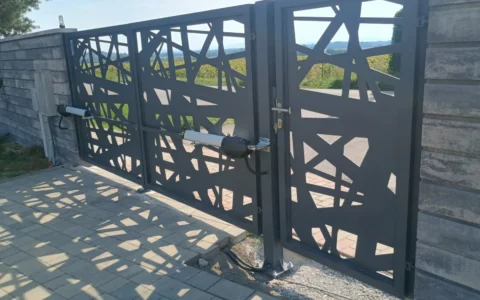 Image00017